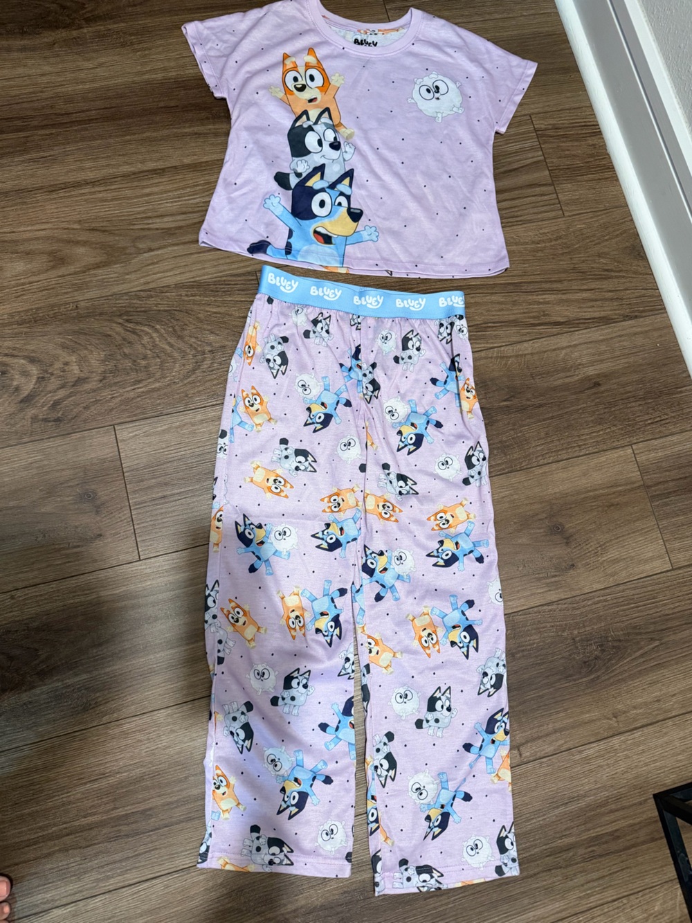 Bluey Character Pajama Set - Lavender and Blue